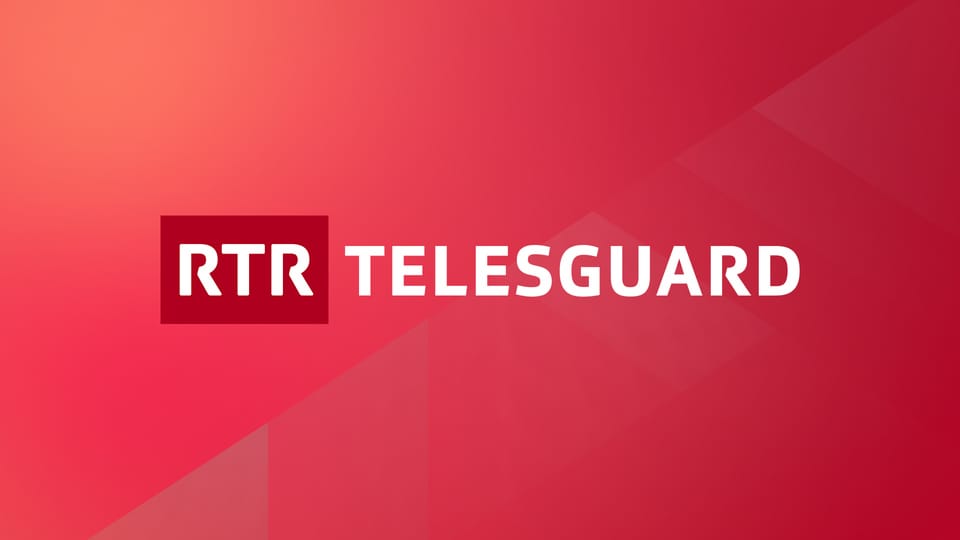 Logo Telesguard